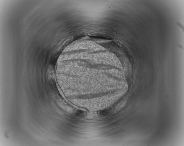 X0000099570384200806131302