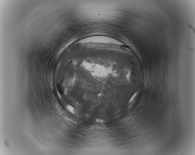 X0000099570386200806131301