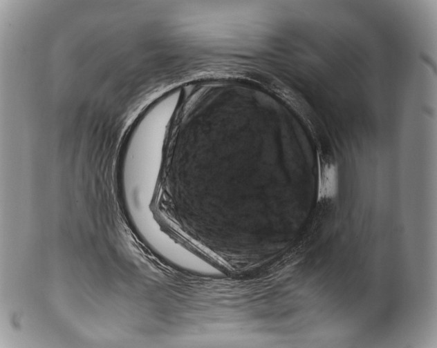 X0000099570387200806131301