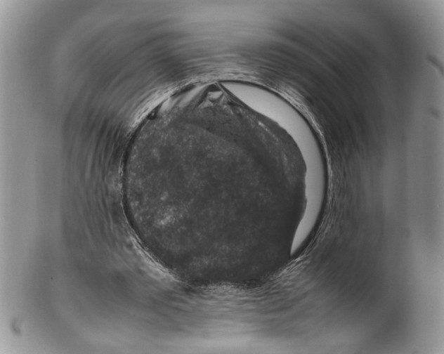 X0000099570389200806131301