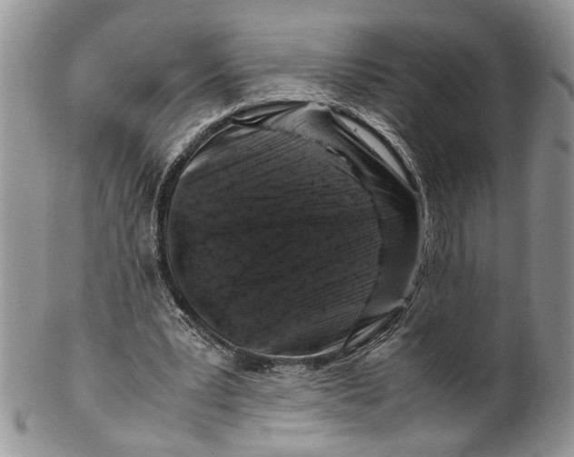 X0000099570391200806131301