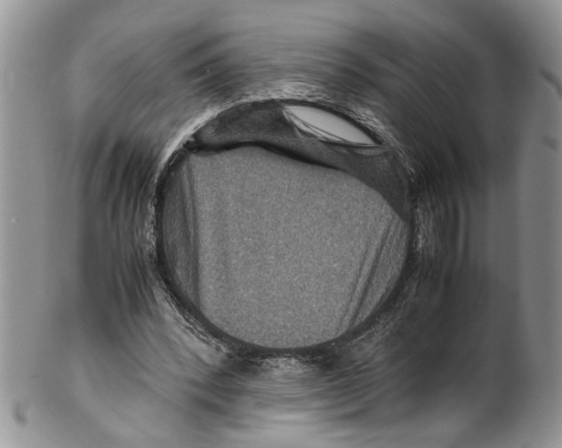 X0000099570392200806131301