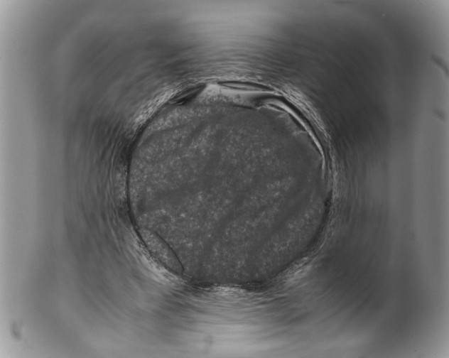 X0000099570393200806131301