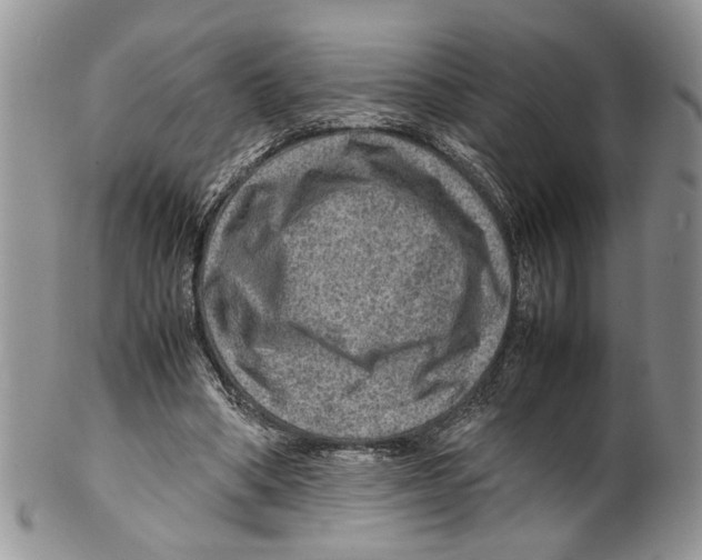 X0000099570394200806131301