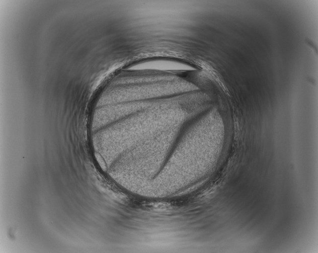 X0000099570395200806131301