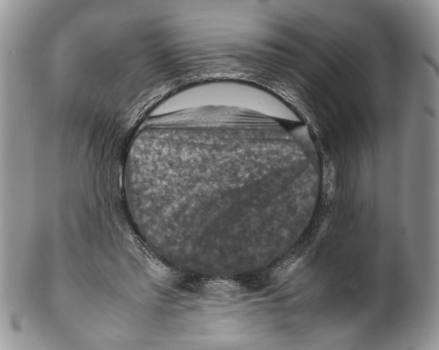 X0000099570397200806131301