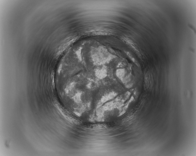 X0000099570398200806131301