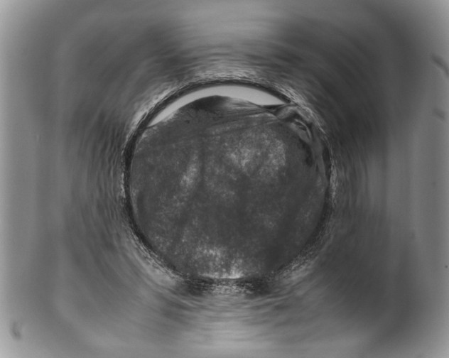 X0000099570399200806131301