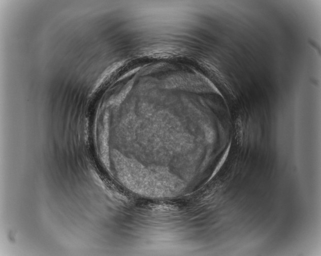 X0000099570400200806131301