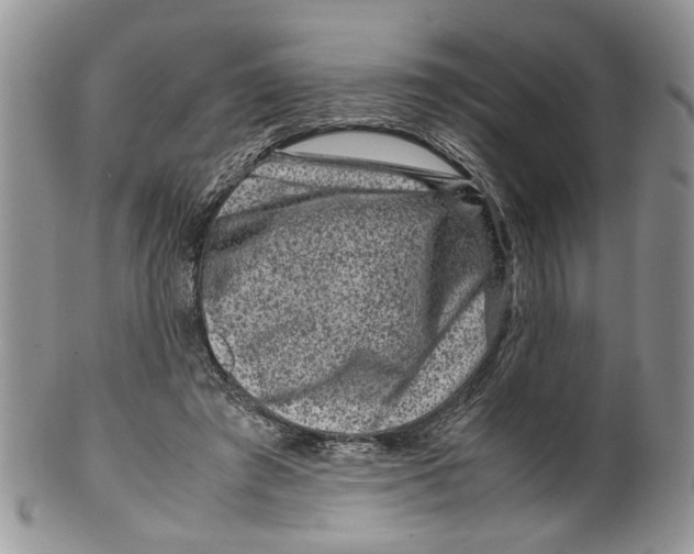X0000099570401200806131301