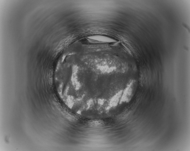 X0000099570402200806131301