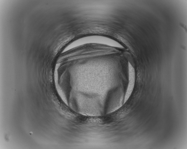 X0000099570403200806131301