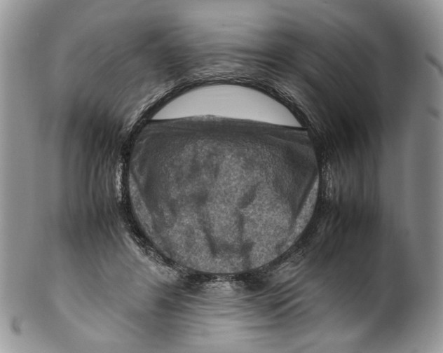 X0000099570404200806131301