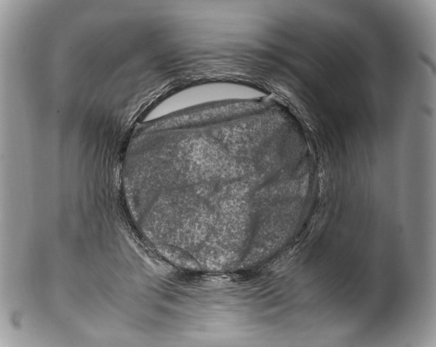 X0000099570405200806131301