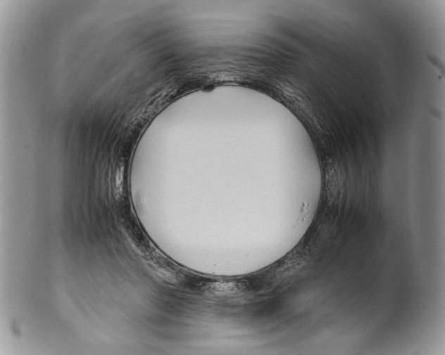X0000099570406200806131301
