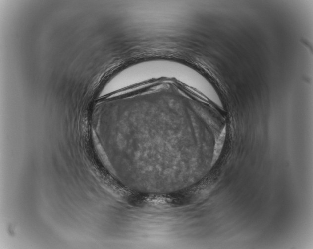 X0000099570407200806131301