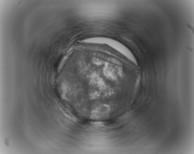 X0000099570409200806131301
