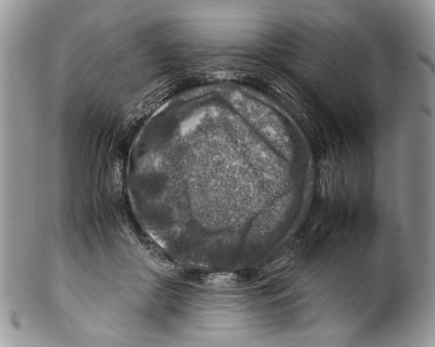 X0000099570410200806131301