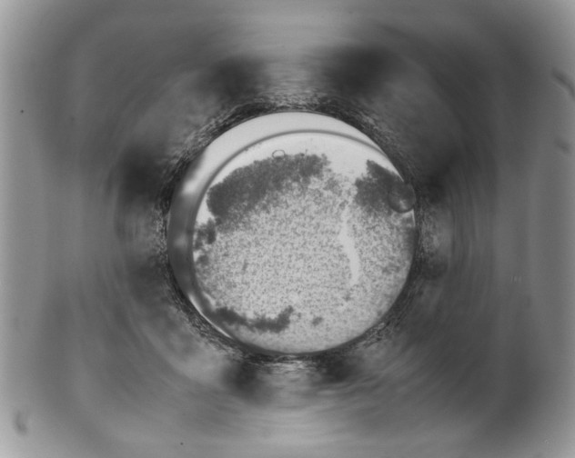X0000099570411200806131301