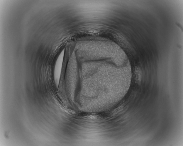 X0000099570412200806131301