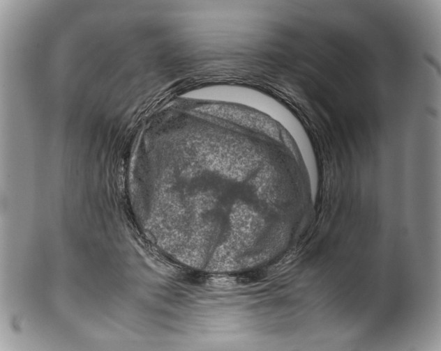 X0000099570413200806131300