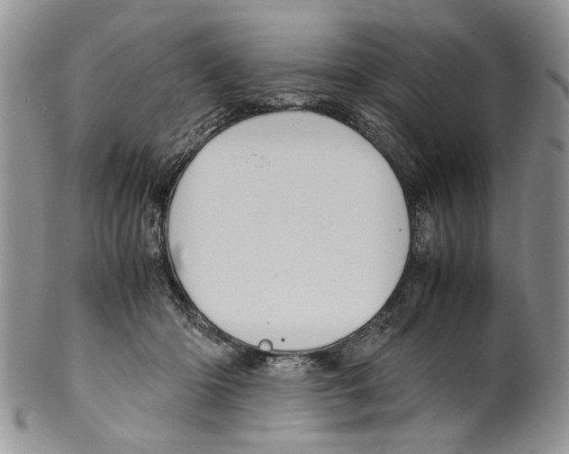 X0000099570414200806131300