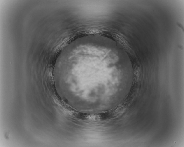X0000099570415200806131300