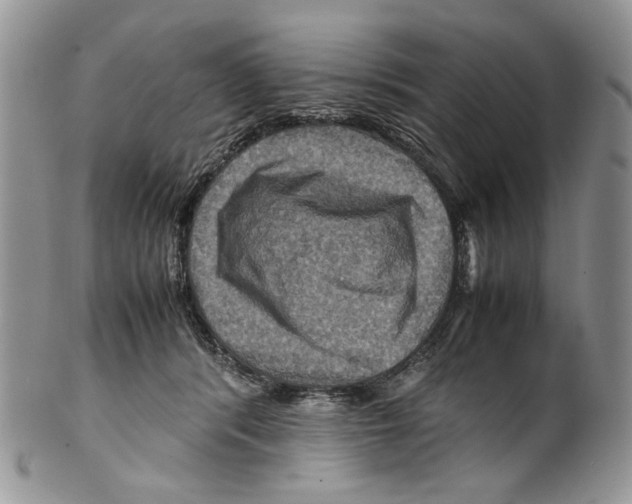 X0000099570416200806131300