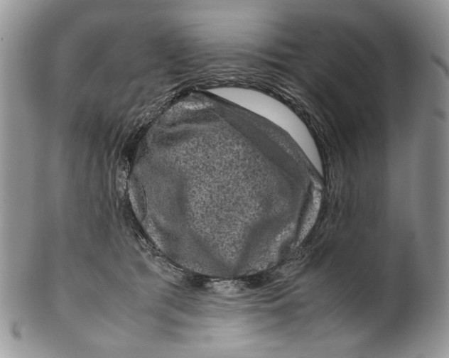 X0000099570417200806131300