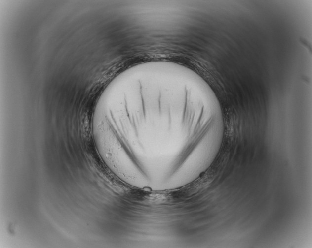 X0000099570418200806131300