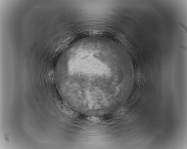 X0000099570419200806131300