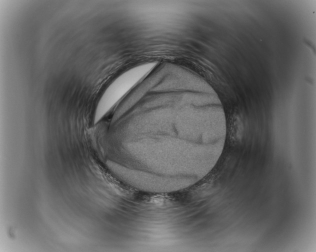X0000099570420200806131300