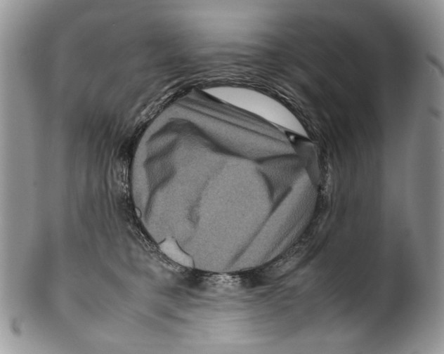 X0000099570421200806131300