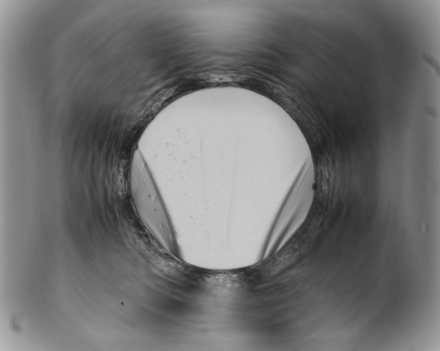 X0000099570422200806131300