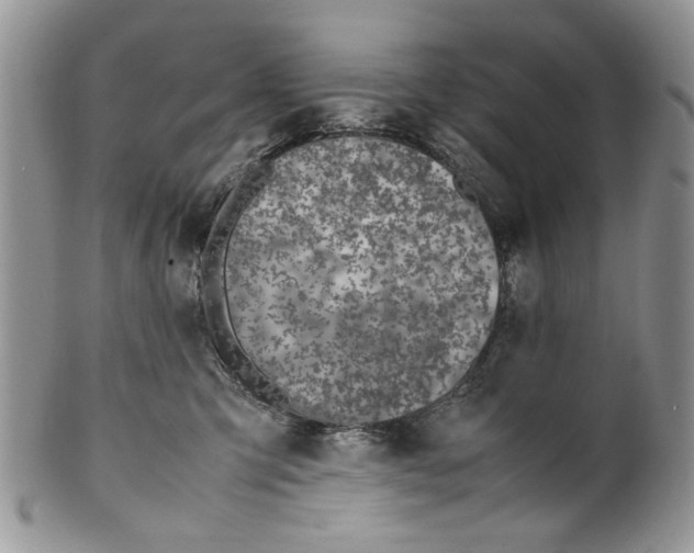 X0000099570423200806131300