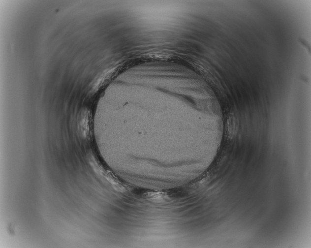 X0000099570424200806131300