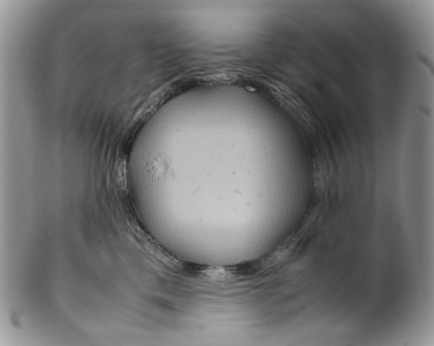 X0000099570425200806131300