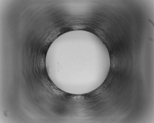 X0000099570426200806131300