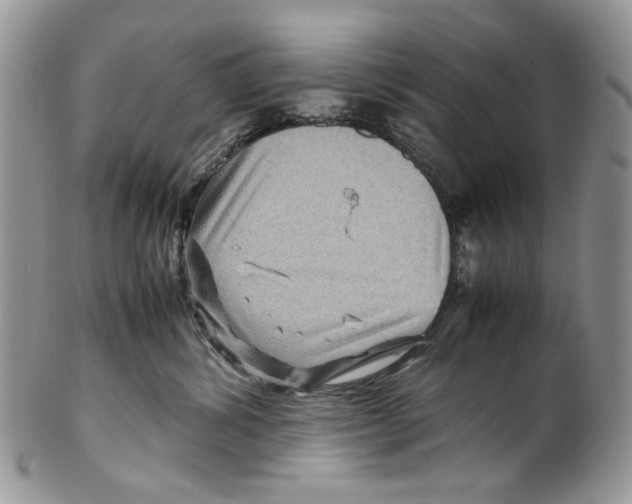 X0000099570428200806131300