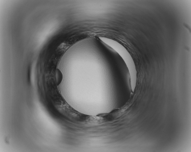 X0000099570429200806131300