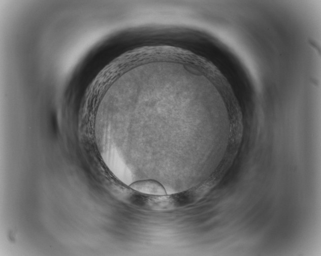 X0000099570431200806131300