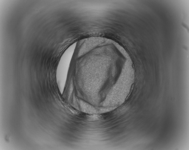 X0000099570432200806131300