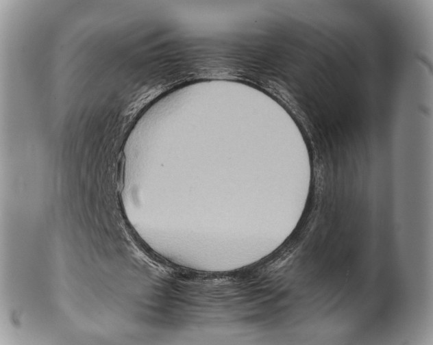 X0000099570433200806131300