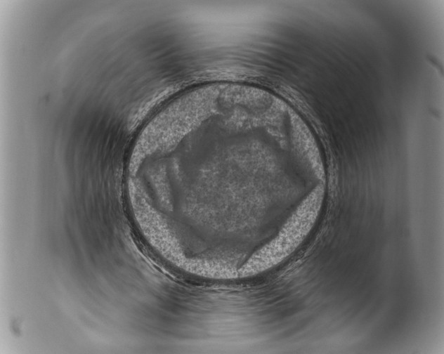 X0000099570434200806131300