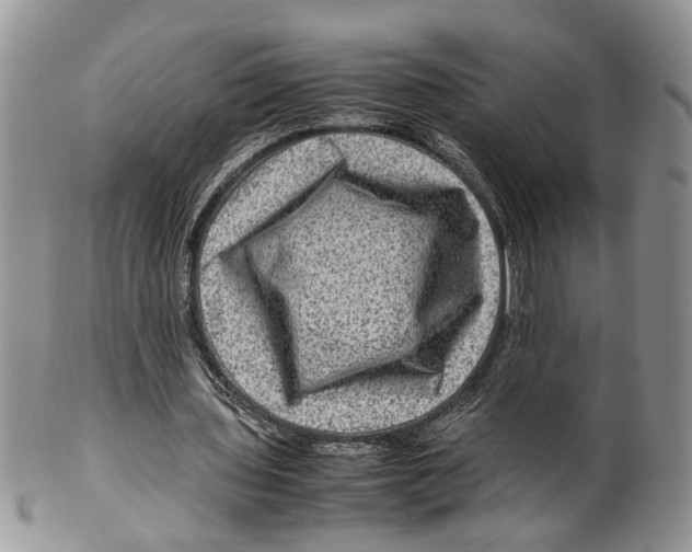 X0000099570435200806131300