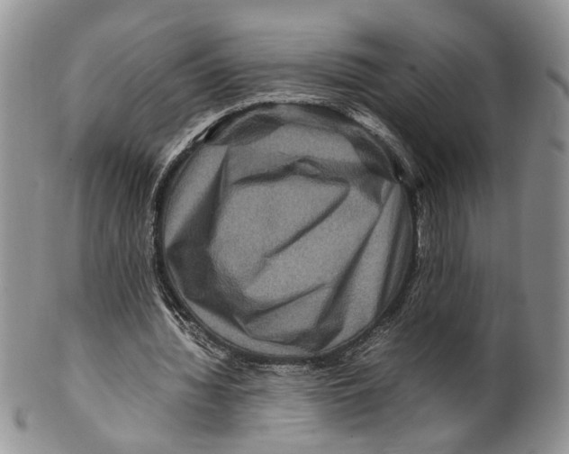 X0000099570436200806131300