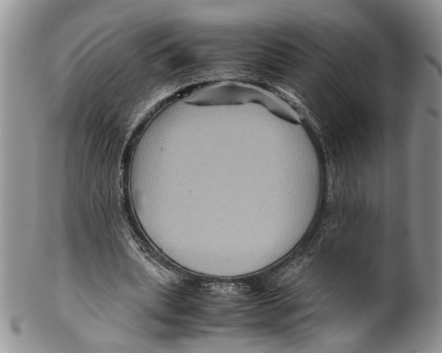 X0000099570439200806131300