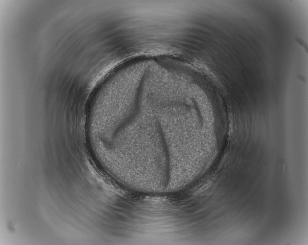X0000099570440200806131300