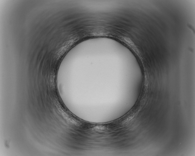X0000099570441200806131300
