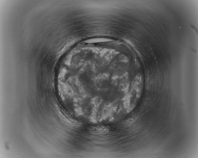 X0000099570443200806131300